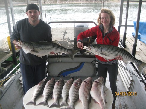 Nice Striped Bass